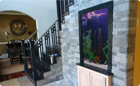 Fintastic MU 8 UPDATED 15