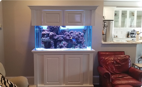 Fintastic MU 8 UPDATED 17