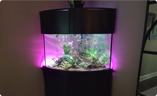 Fintastic MU 8 UPDATED 22