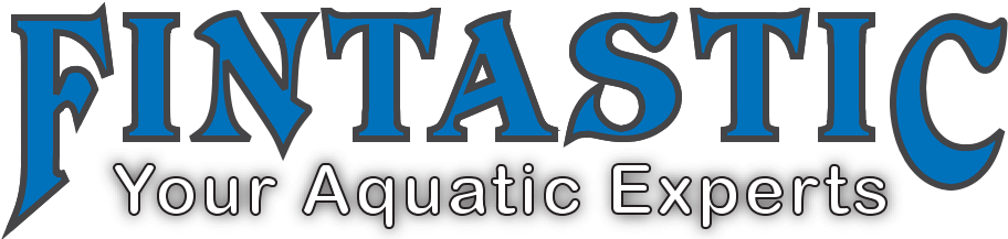 Fintastic Logo